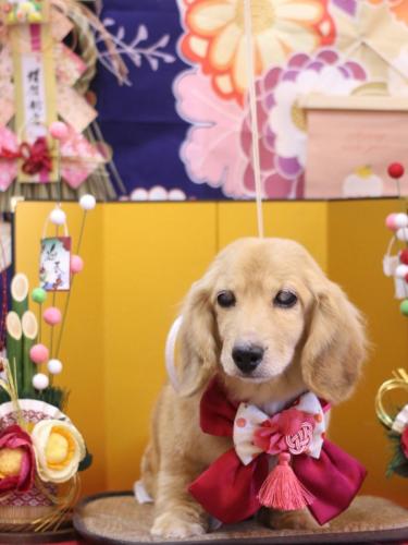 20240116バナナちゃん